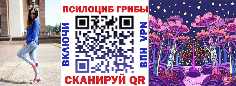 купить цена кракен ССЫЛКА Псилоцибиновые грибы Cubensis Пугачёв